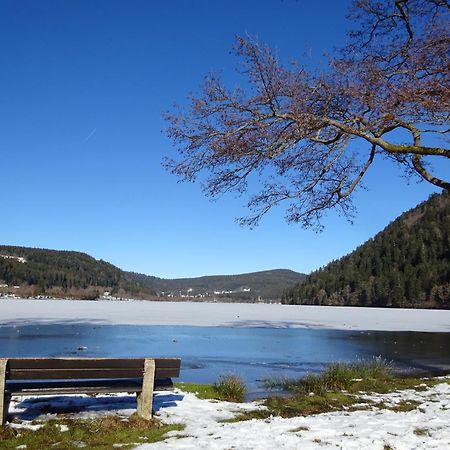 Chalet La Petite Perle Gérardmer Eksteriør billede