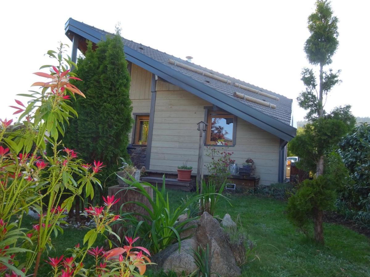 Chalet La Petite Perle Gérardmer Eksteriør billede