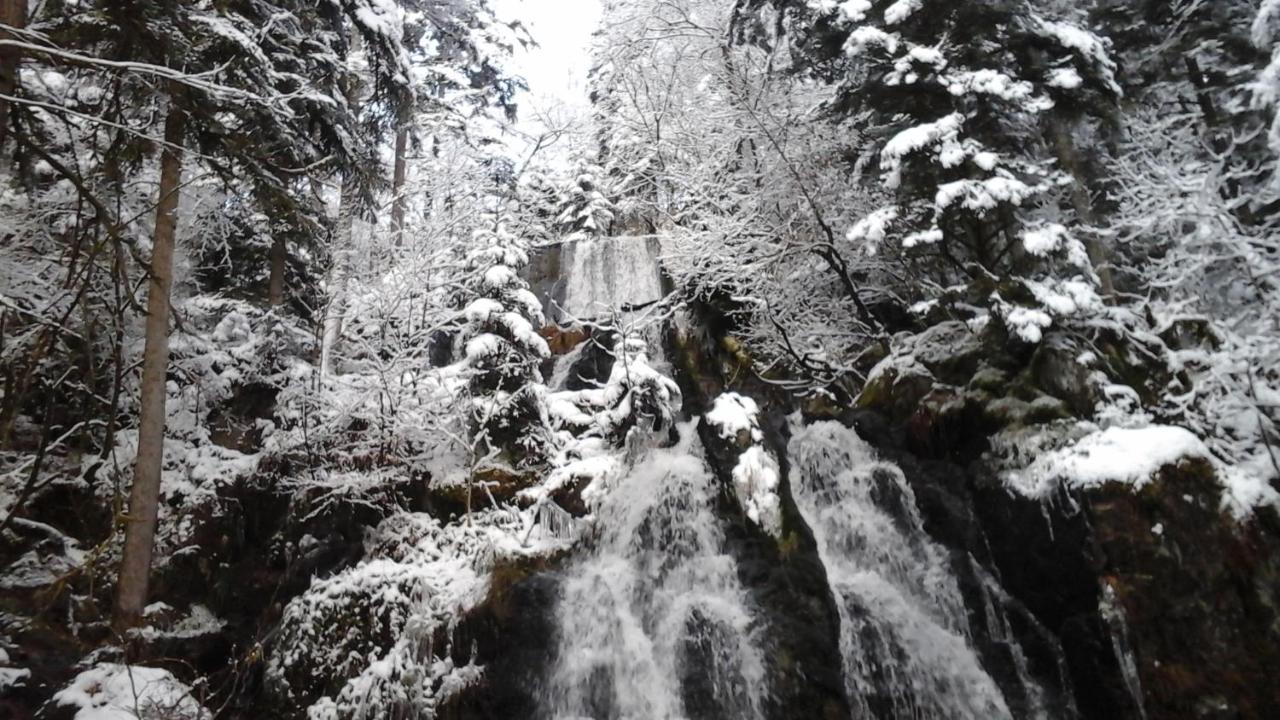 Chalet La Petite Perle Gérardmer Eksteriør billede