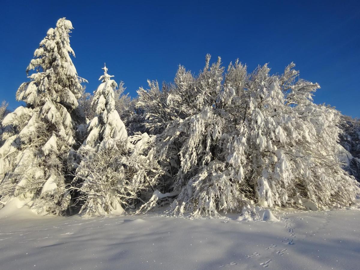 Chalet La Petite Perle Gérardmer Eksteriør billede