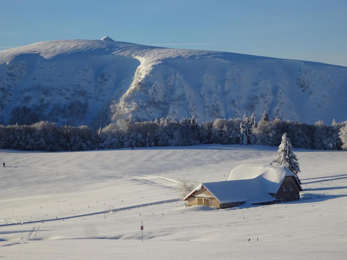 Chalet La Petite Perle Gérardmer Eksteriør billede