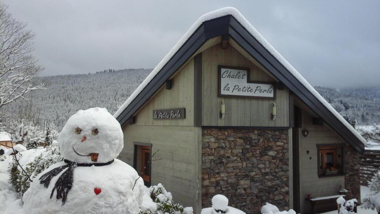 Chalet La Petite Perle Gérardmer Eksteriør billede