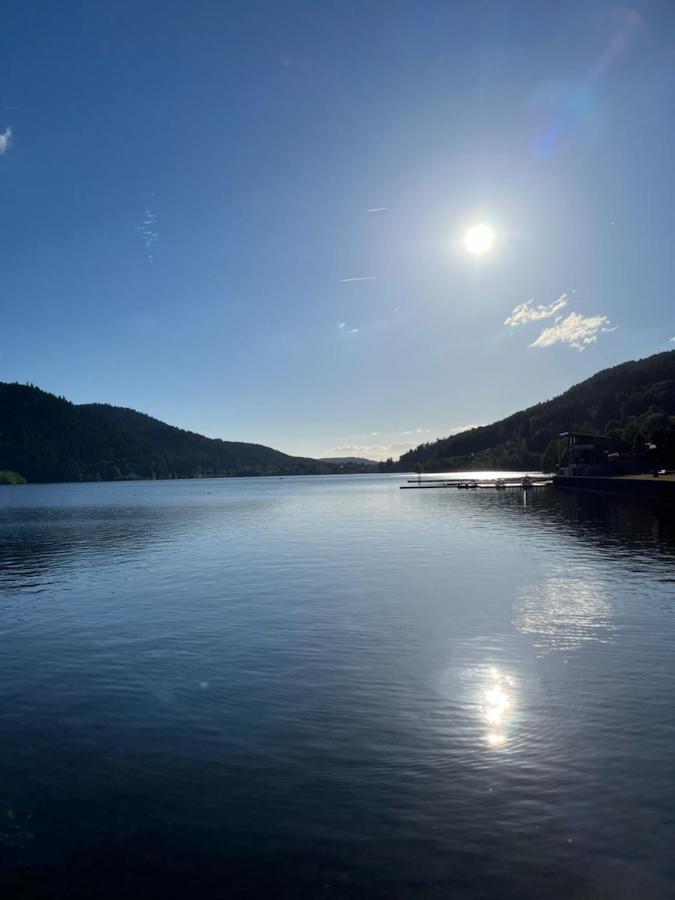 Chalet La Petite Perle Gérardmer Eksteriør billede