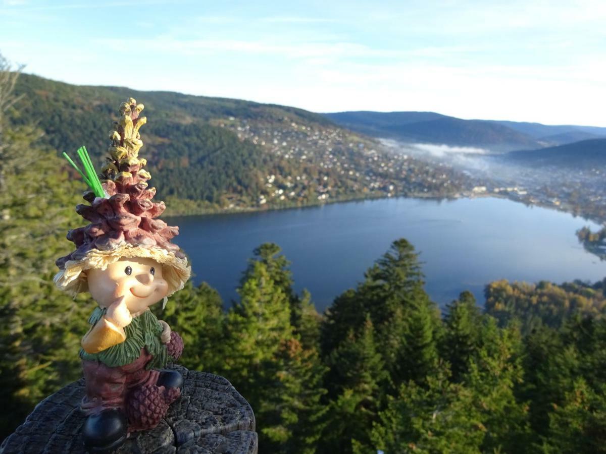 Chalet La Petite Perle Gérardmer Eksteriør billede