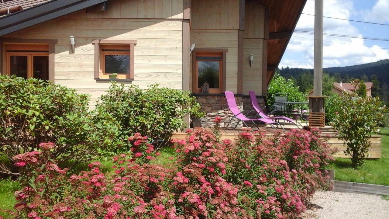 Chalet La Petite Perle Gérardmer Eksteriør billede