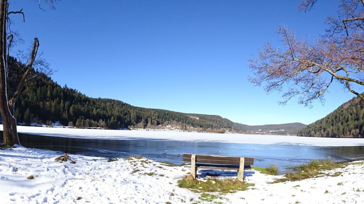 Chalet La Petite Perle Gérardmer Eksteriør billede