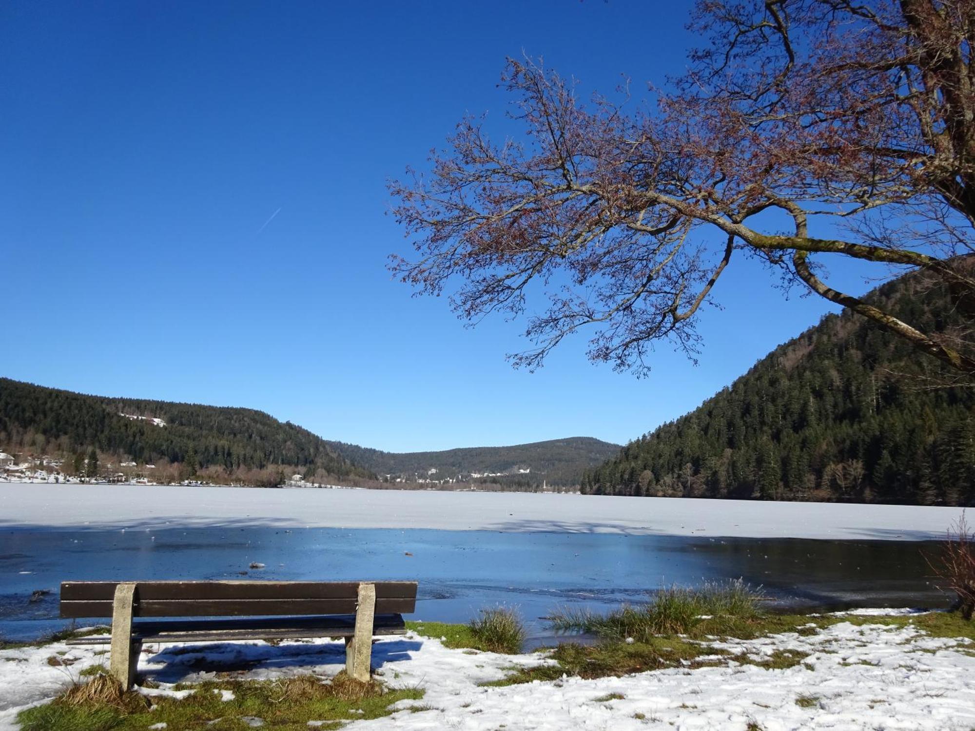 Chalet La Petite Perle Gérardmer Eksteriør billede
